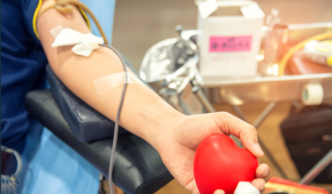 Sindicato pede investigação às condições de trabalho no centro de sangue do Porto