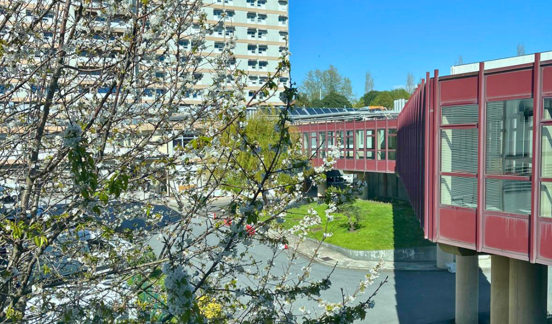 IPO Porto perde anestesiologistas e “põe em risco a segurança dos doentes”, acusa sindicato